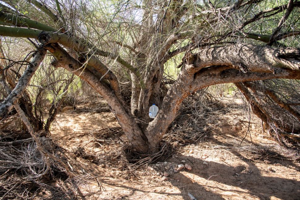 Alvaro_Enciso_09_17_18_469